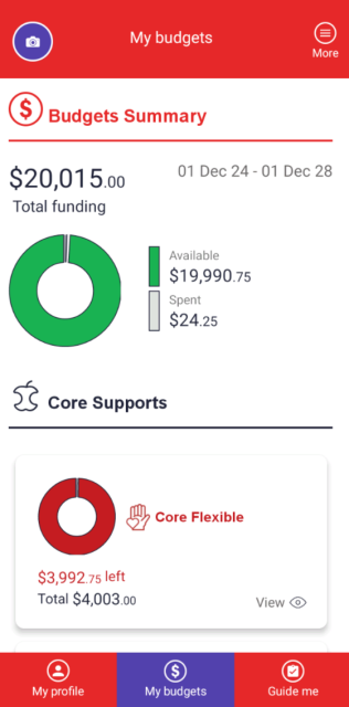 Budget Summary area of the Leap in! app
