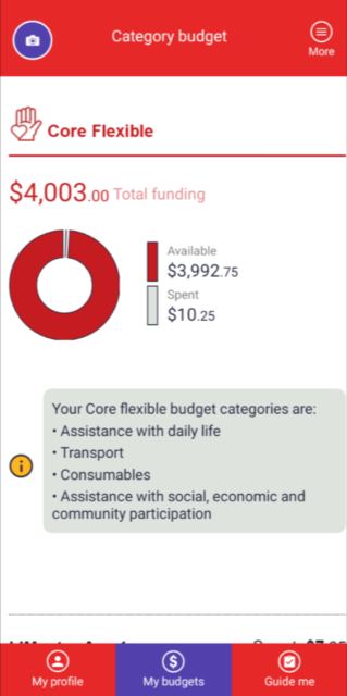 View of the Core Flexible budget on the Leap in! app