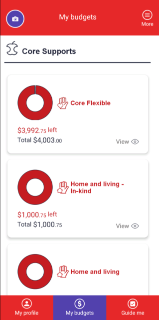 Core Supports section of the Leap in! app